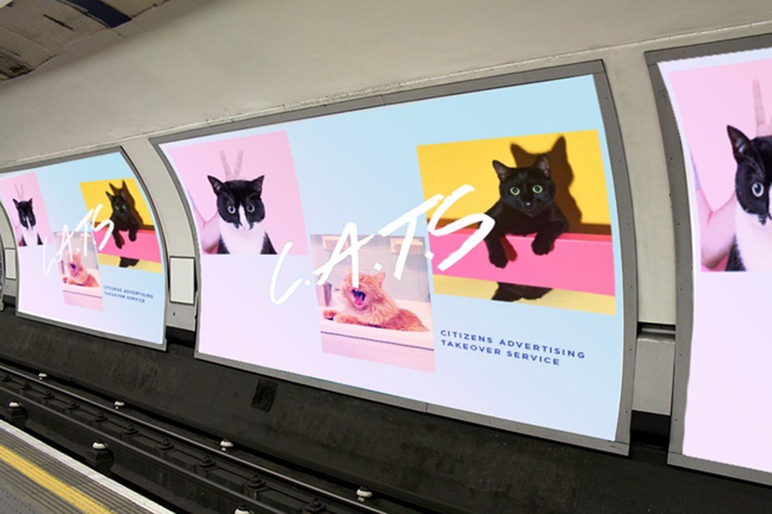 Fotos de gatos inundan estación del metro de Londres - cats-7