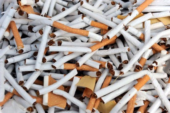 PGR destruye 26.7 millones de cigarros ilegales - cigarros-2