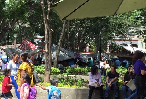 Maestros de la Sección 22 marchan en Oaxaca - cnte_marcha_oaxaca-tras_enfrentamiento_maestros_manifestan-milenio_noticias_MILIMA20160916_0284_8