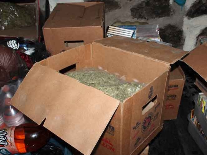 Decomisan 187 kilogramos de mariguana en Nuevo León - droga