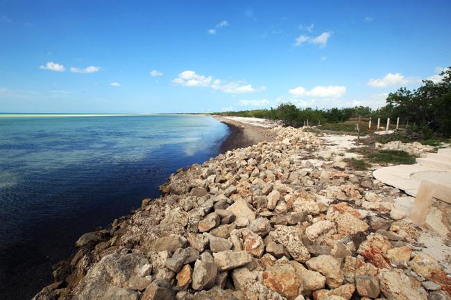 Incendio en Holbox afecta 20 hectáreas de frágiles ecosistemas - holbox-aee