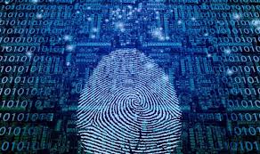 Cómo borrar tu huella de internet