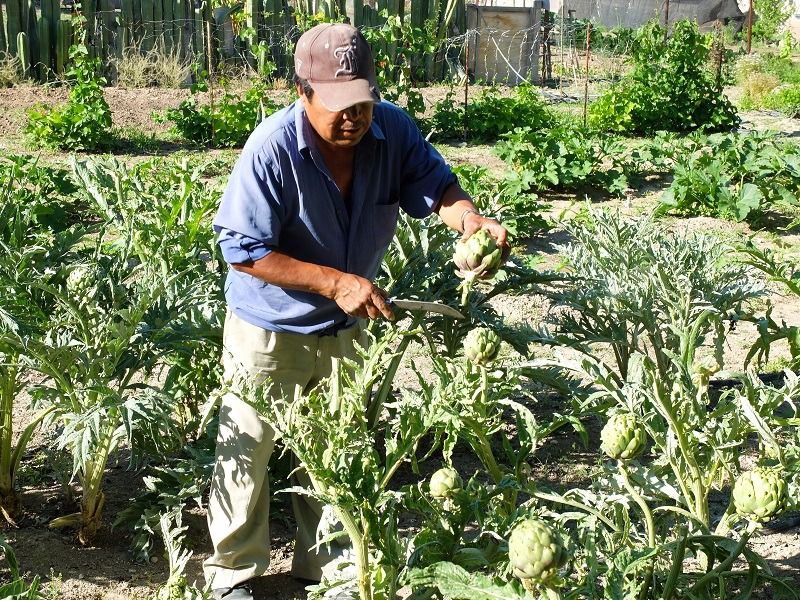 Buscan atraer a nuevas generaciones de estadounidenses a San Miguel de Allende - image1-8