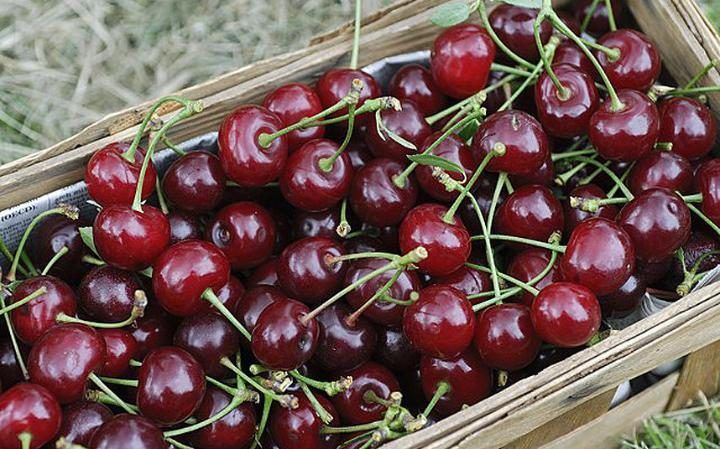 Los 10 alimentos que podríamos perder por el cambio climático - listacomida9