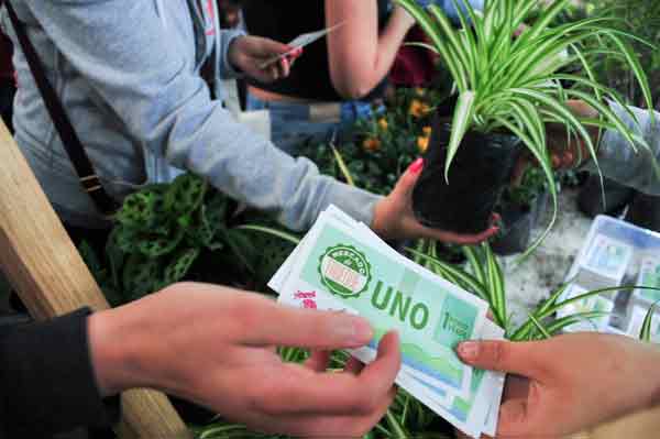 Realizarán Mercado del Trueque en el Bosque de Tlalpan - mercado-del-trueque-1