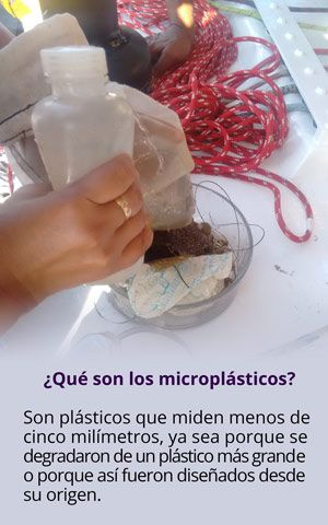 Los daños que causan los microplásticos en las playas mexicanas - micro2916-1