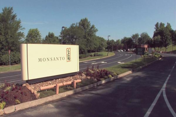 Bayer acuerda comprar Monsanto por 66 mil mdd en efectivo - monsanto