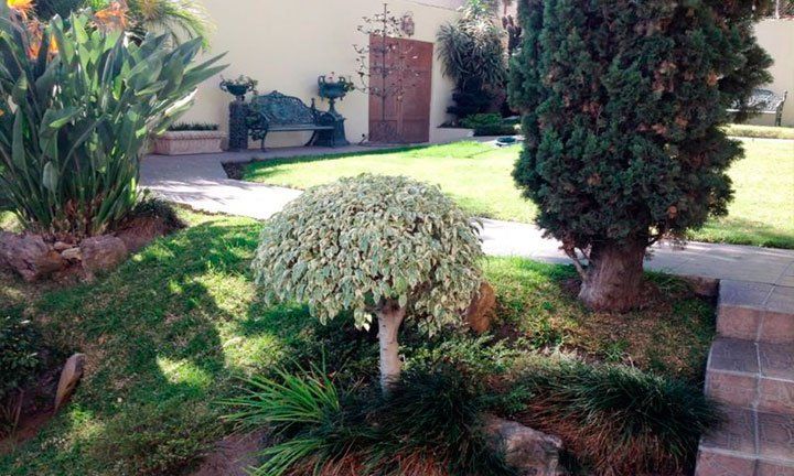 En renta residencia donde murió Nacho Coronel - nc5