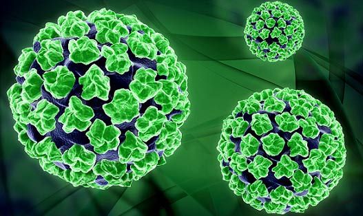 Aproximadamente 660 millones de personas tienen papiloma humano - papiloma