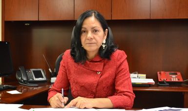 Los secuestradores de María Villar no eran profesionales: Patricia Bugarín - patricia-bugarin