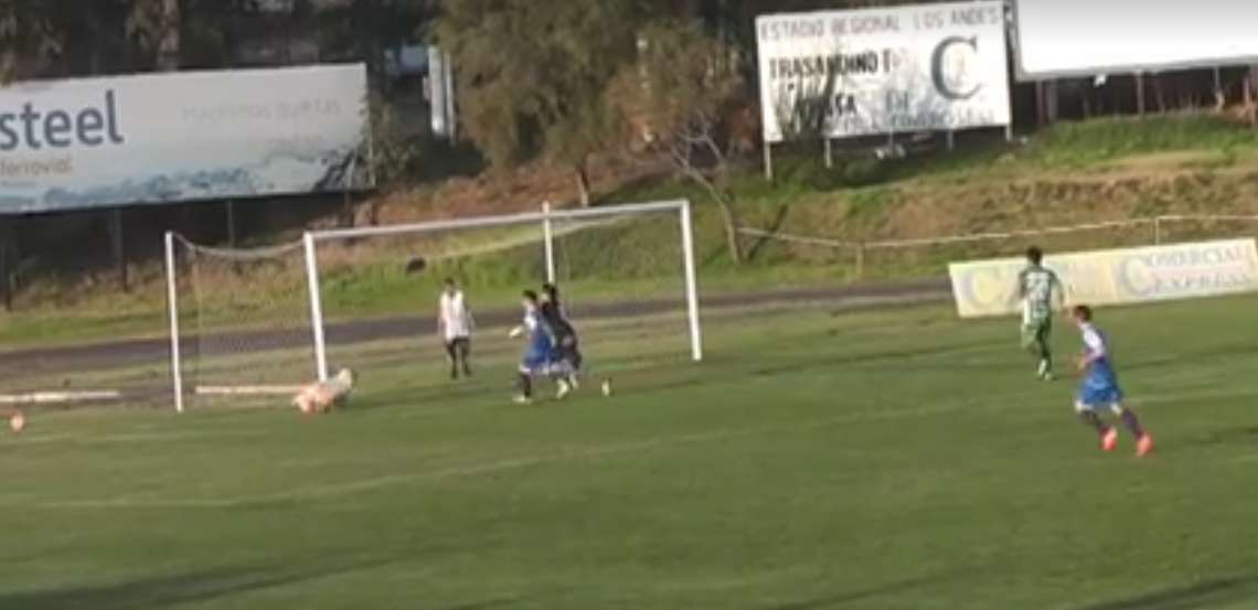 Video: perro evita un gol en la Segunda División de Chile