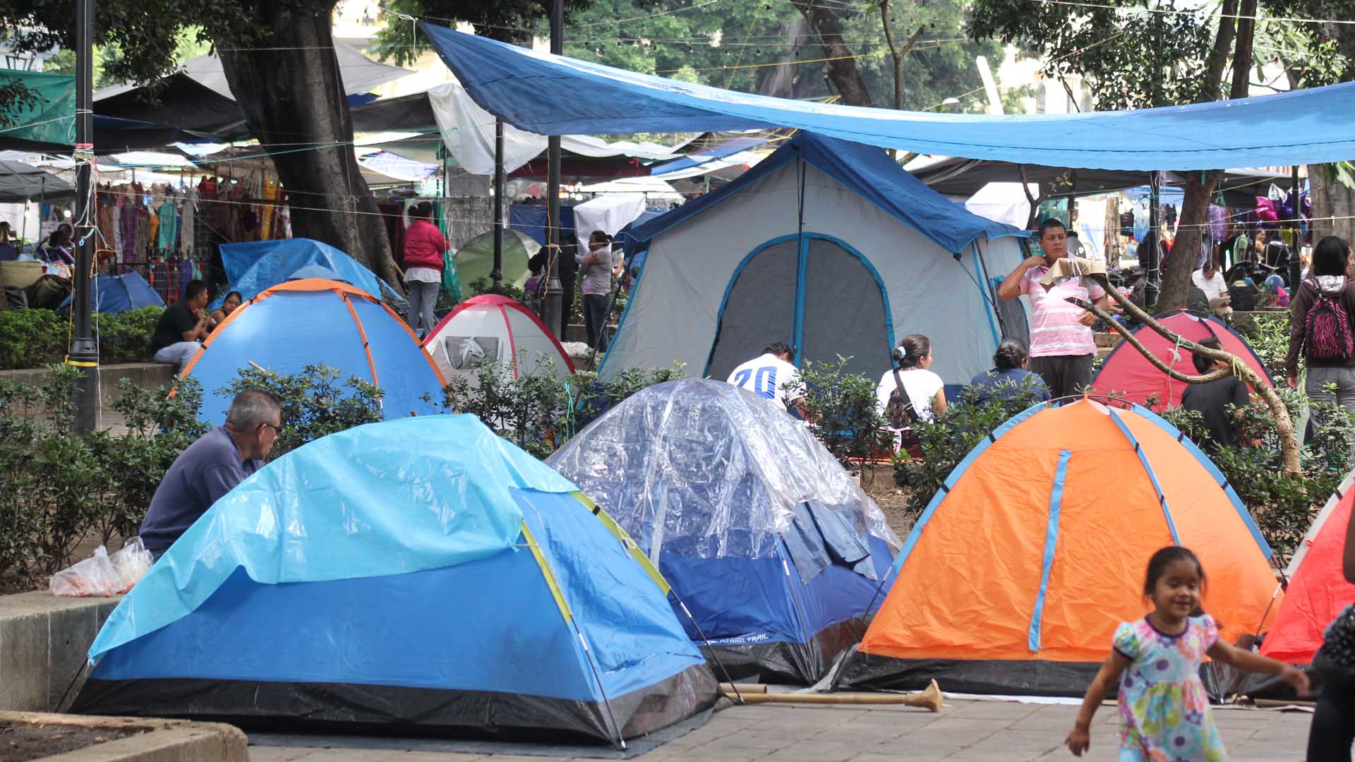 CNTE agrede a fotógrafa por documentar plantón en Oaxaca