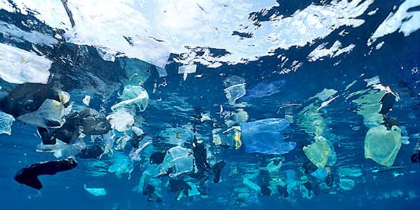 Los daños que causan los microplásticos en las playas mexicanas