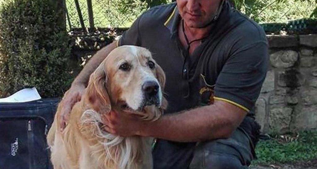 Video: rescatan a perro debajo de escombros en Italia