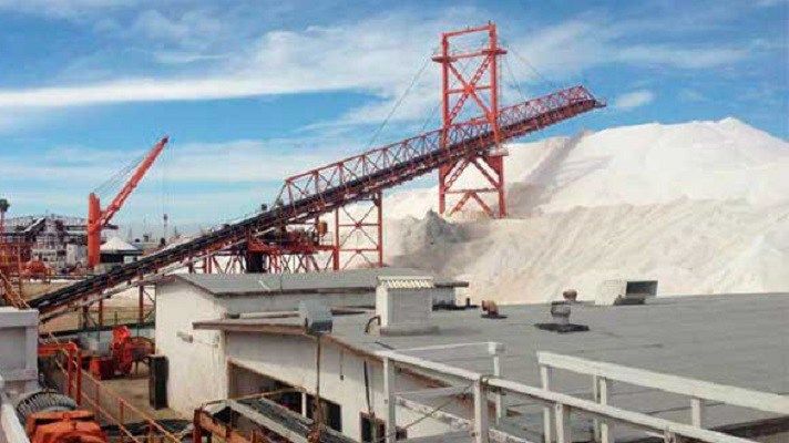 Detienen a exdirector de Exportadora de Sal por irregularidades - salinera