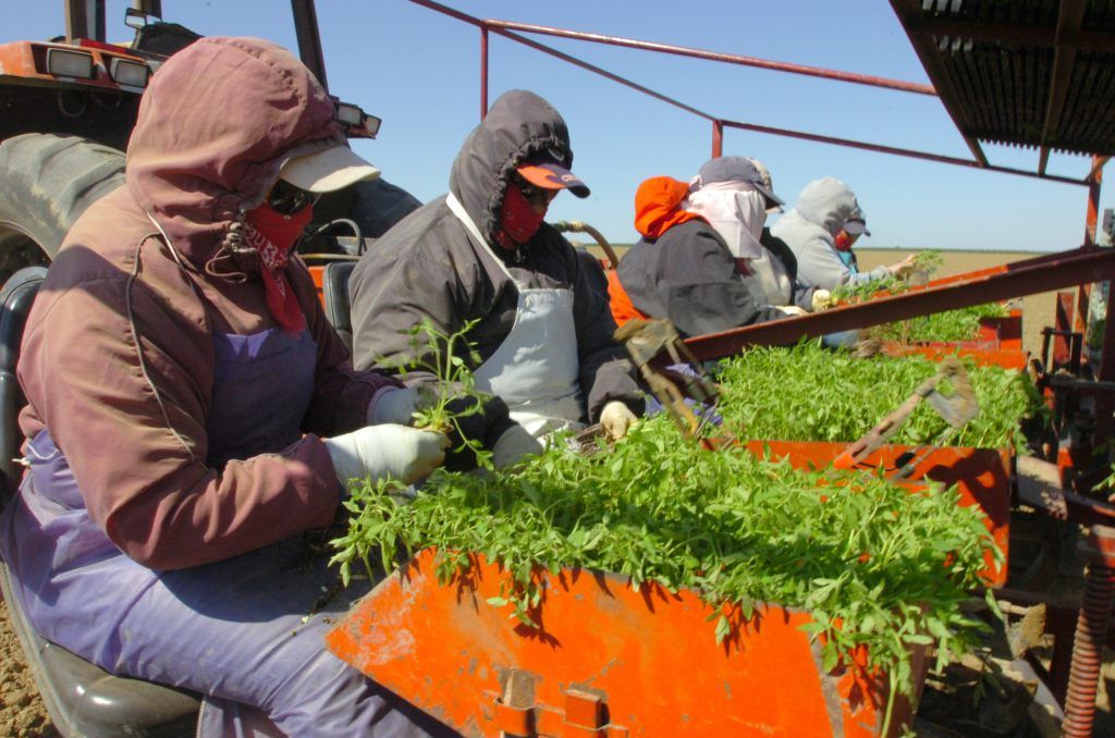 Gobernador de California aprueba pago de horas extras a campesinos - sindicato-logra-acuerdo-con-autoridades-de-california-por-muerte-campesinos