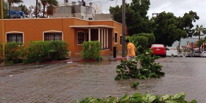 Declaran emergencia en cuatro municipios de Sonora por Newton