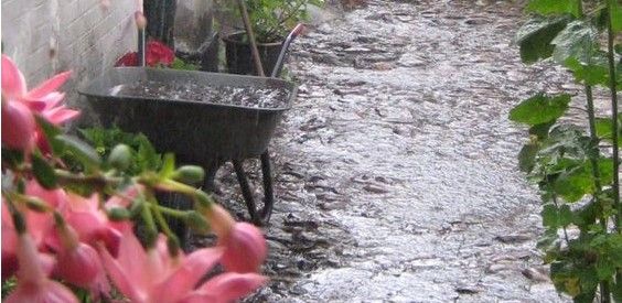 El gusto por el olor a tierra mojada El gusto por el olor a tierra mojada