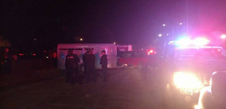 Escape de toros provoca caos en la vía pública