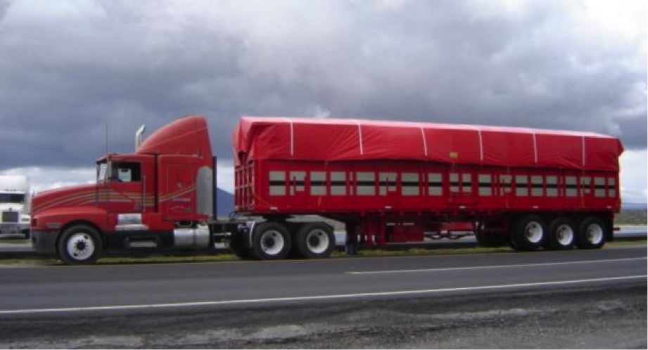 SCT analizaría pesos y dimensiones de vehículos pesados