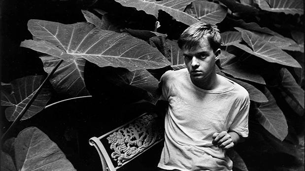 Subastan las cenizas del novelista Truman Capote por 900 mil pesos