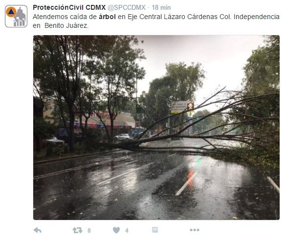 Lluvia provoca caída de árboles en Benito Juárez y Cuauhtémoc - tuit-arbol-2