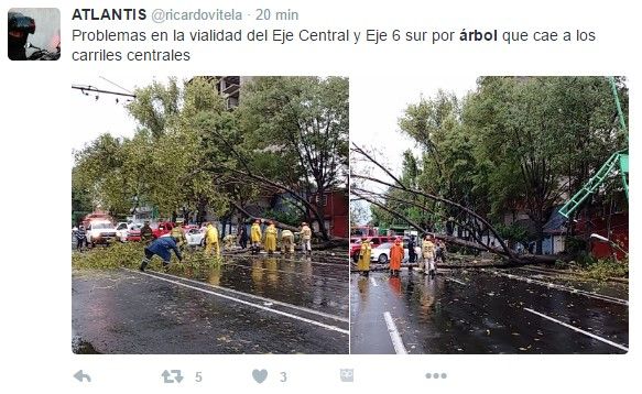 Lluvia provoca caída de árboles en Benito Juárez y Cuauhtémoc - tuit-arbol-3