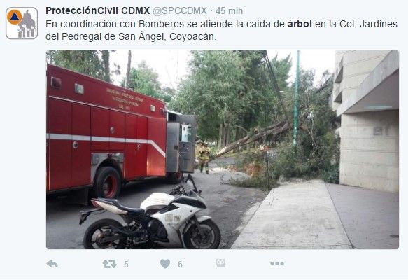 Lluvia provoca caída de árboles en Benito Juárez y Cuauhtémoc - tuit-arbol-coyoacán