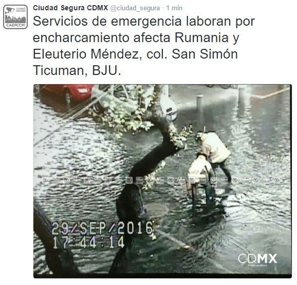 Lluvia provoca caída de árboles en Benito Juárez y Cuauhtémoc - tuit-lluvia