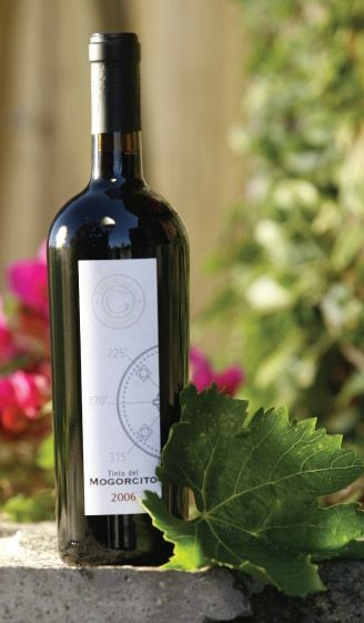 Los 10 mejores vinos mexicanos - viñas-de-garza