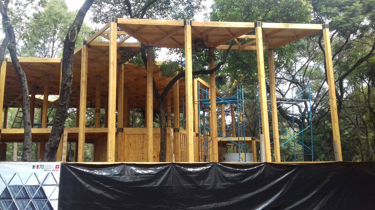 Otro despojo al Bosque de Chapultepec