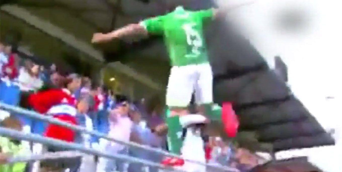 Video: jugador le da una patada en la cara a aficionado