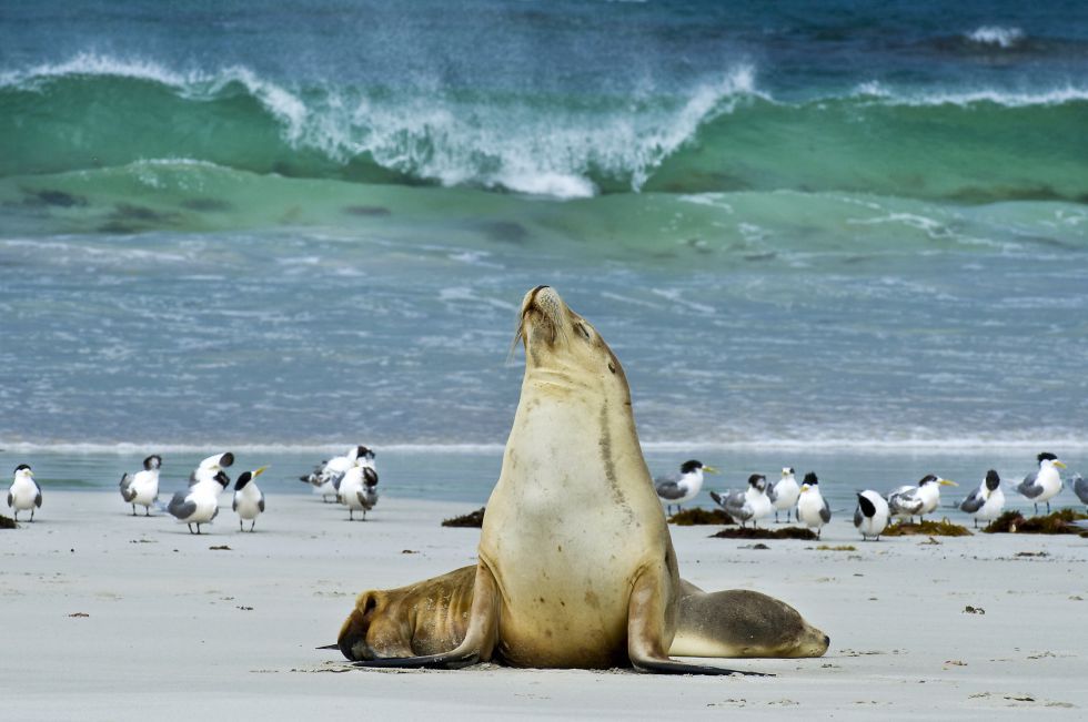 Galería: los 30 mejores destinos para visitar en 2017 - 25
