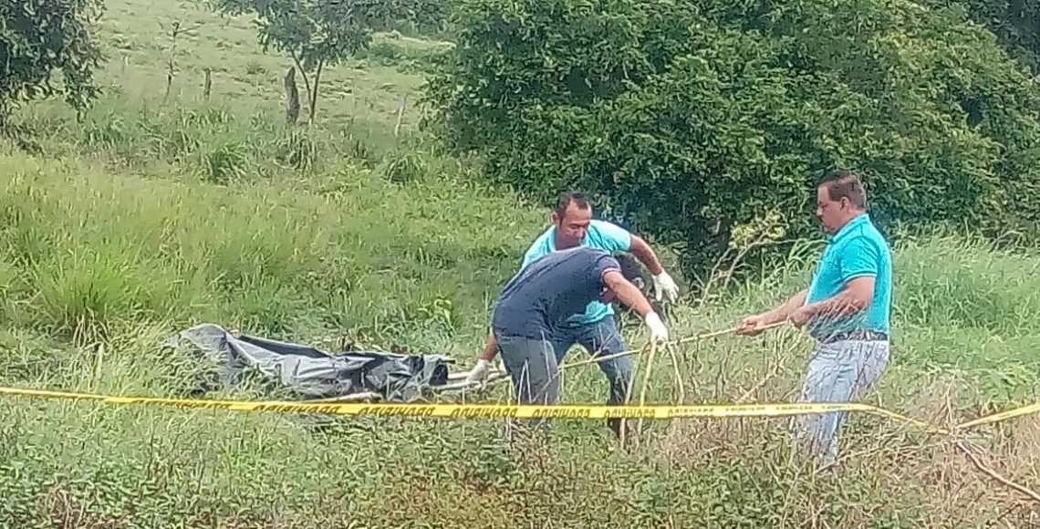 Encuentran seis cuerpos en carretera de Veracruz