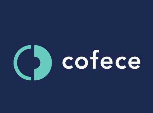 Senado ratifica a Brenda Hernández como nueva Comisionada de la COFECE - Captura-de-pantalla-2016-10-25-a-las-15.45.57