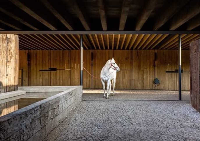 Alcaldes muestran supuesto rancho de Javier Duarte - Captura-de-pantalla-2016-10-30-a-las-10.19.03-a.m.