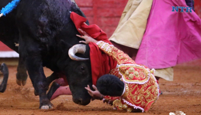 Video: toreros sufren cornadas el domingo en la Plaza México