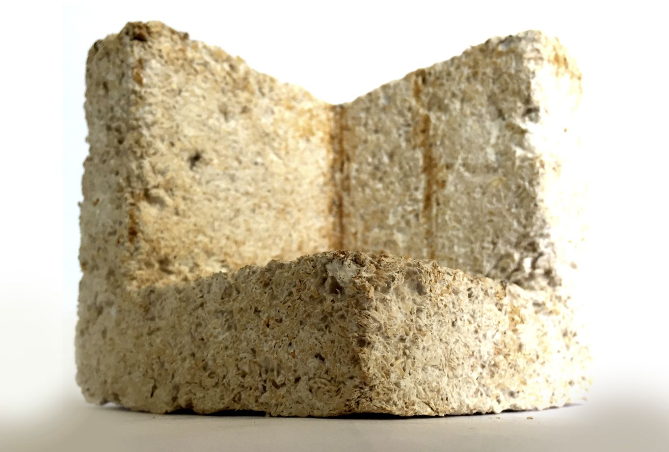 Utilizan jóvenes modificación genética para crear sustituto de unicel