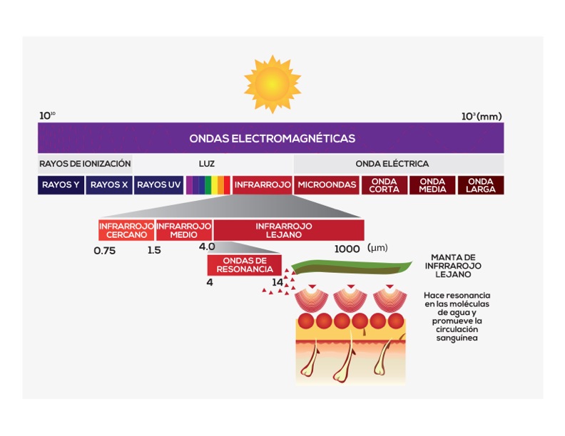 La ciencia de las terapias de calor infrarrojo lejano y la eliminación de toxinas - Grafica1