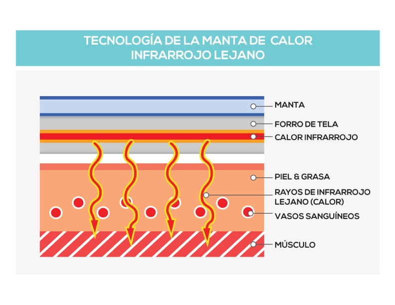 La ciencia de las terapias de calor infrarrojo lejano y la eliminación de toxinas - Grafica2