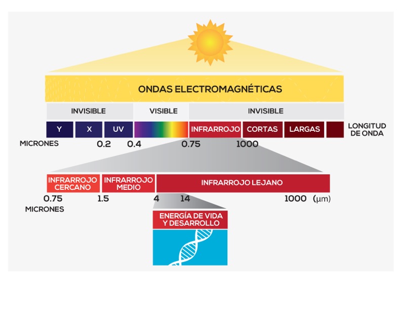 La ciencia de las terapias de calor infrarrojo lejano y la eliminación de toxinas - Grafica4