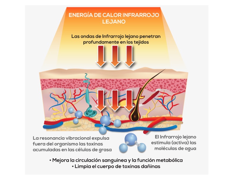 La ciencia de las terapias de calor infrarrojo lejano y la eliminación de toxinas - Grafica9
