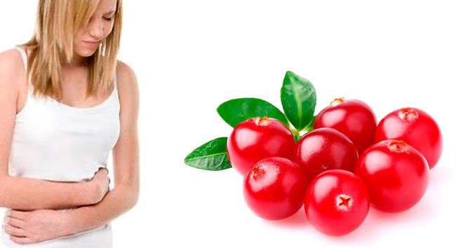 Estudio revela que arándanos no curan las infecciones urinarias - aràndanos-2