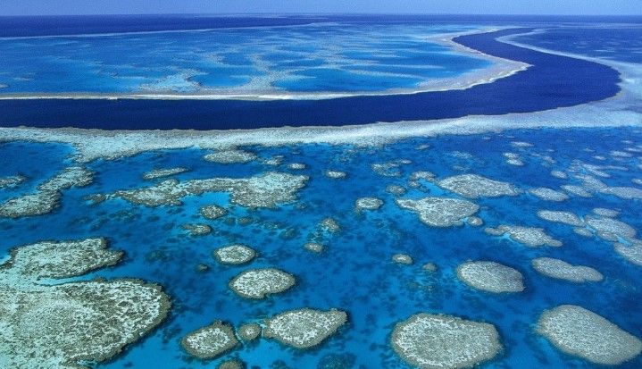 Los 10 lugares más fascinantes del mundo - barrera-de-coral