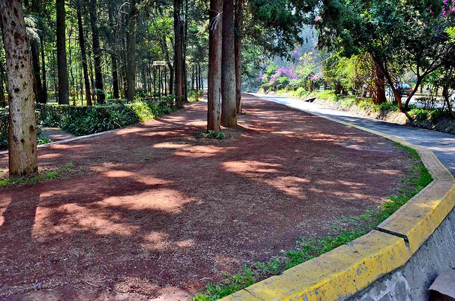 Atacan a corredora en el Bosque de Tlalpan