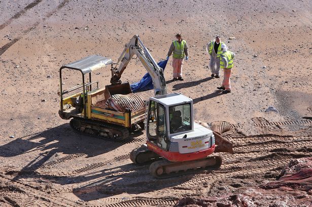 Utilizarán cadáver de ballena para hacer biocombustible - cadáver-ballena-reino-unido