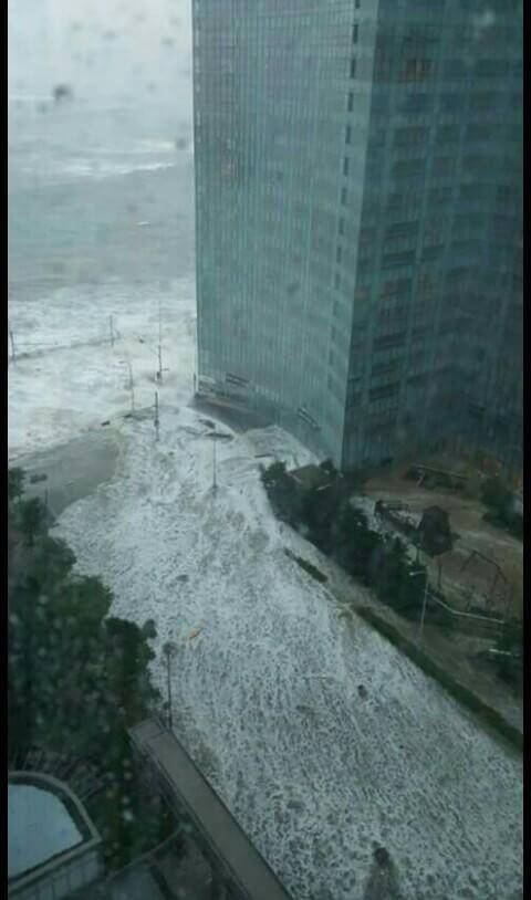 Mueren 5 personas en Corea del Sur por el paso del tifón Chaba - chaba