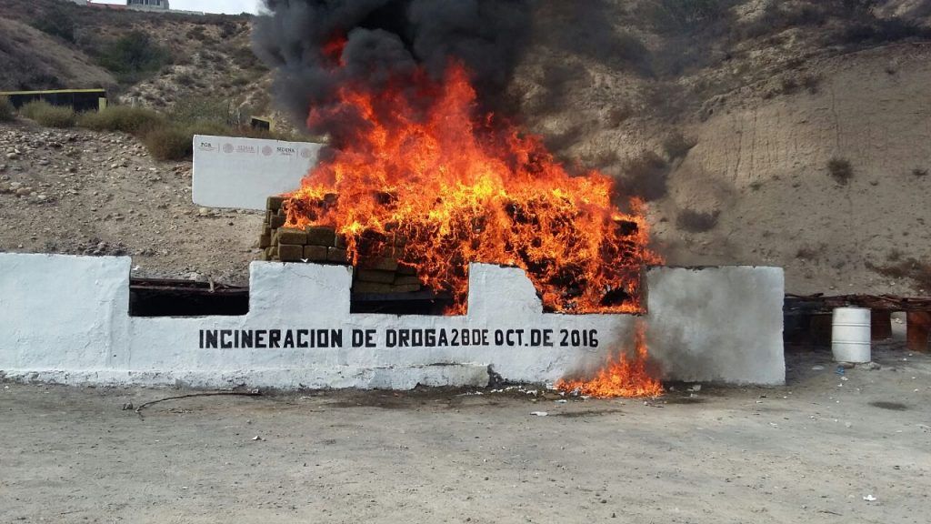 PGR incinera más de 11 toneladas de droga en Tijuana - driga-tijuana-1024x576