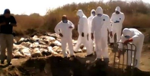 Confirman la existencia de otra fosa clandestina en Morelos - fosa