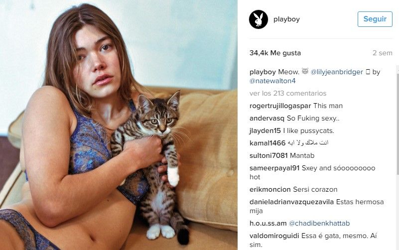 Playboy sin desnudos aumenta sus ventas y prepara aplicación - gatitos
